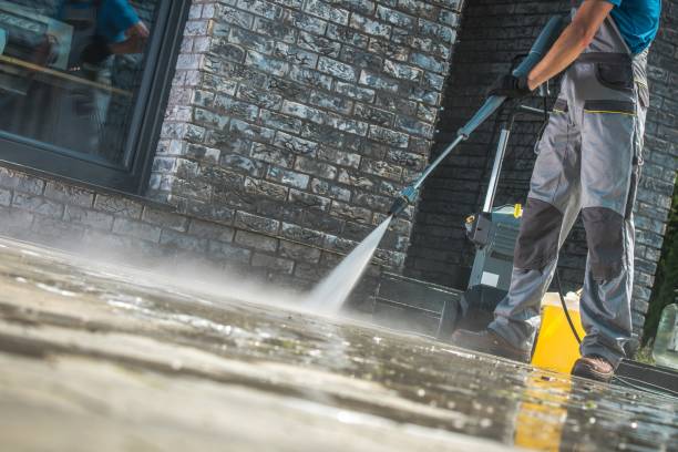 Best Animal Enclosure Cleaning  in Weston, FL