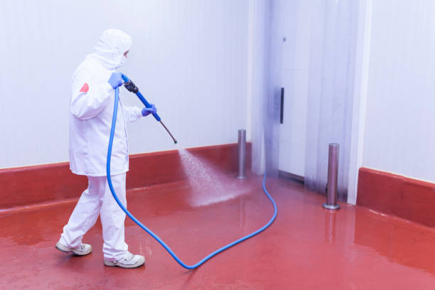 Best Restaurant Pressure Washing  in Weston, FL