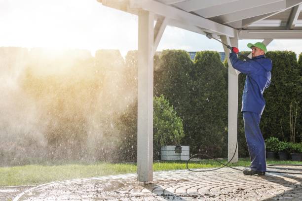 Best Driveway Pressure Washing  in Weston, FL